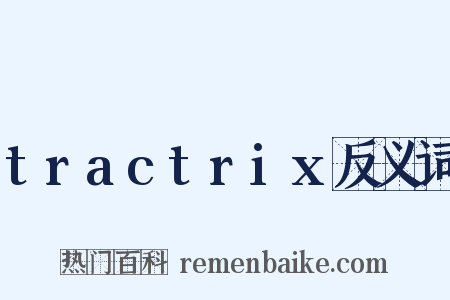 tractrix反义词是什么意思的图片